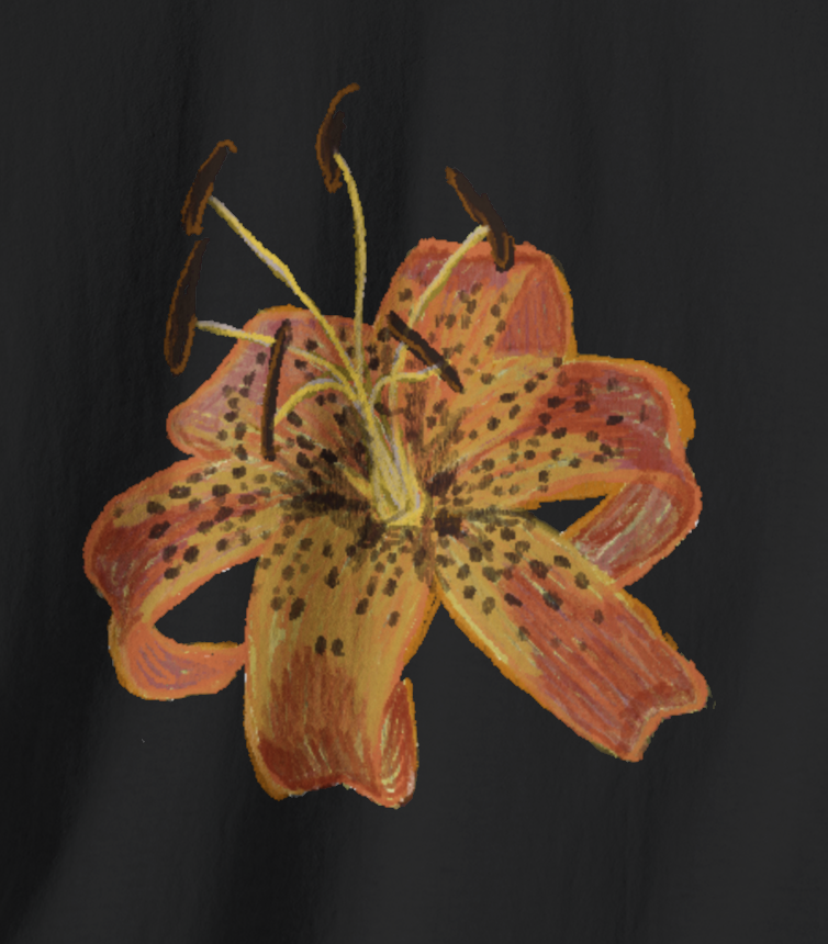 Jamie's Hand-Drawn Collection "Ozark Lily" Unisex Soft-Style Tee Shirt