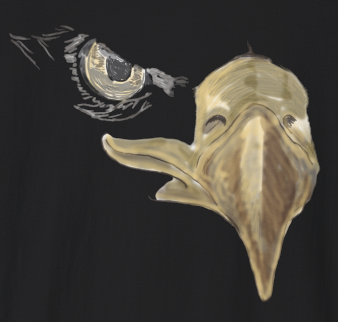 Jamie's Hand-Drawn Collection "American Eagle Eye" Unisex Soft-Style Tee Shirt