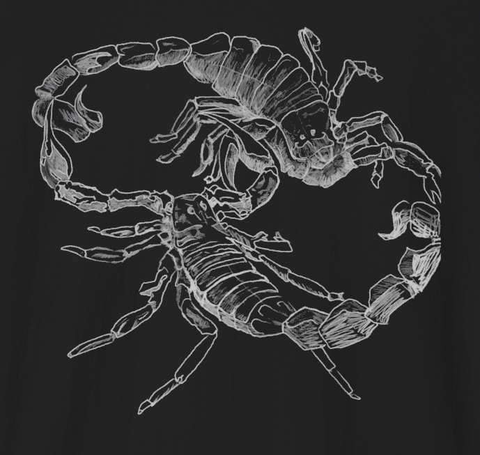 Jamie's Hand-Drawn Collection "Scorpion's Dance" Unisex SoftStyle Tee Shirt