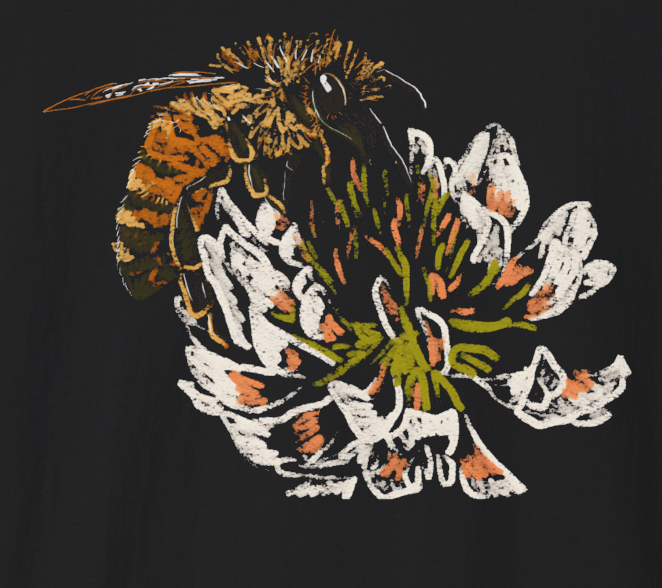 "Honey Bee on a Clover" Jamie's Hand-Drawn Collection Unisex Soft-Style Tee Shirt