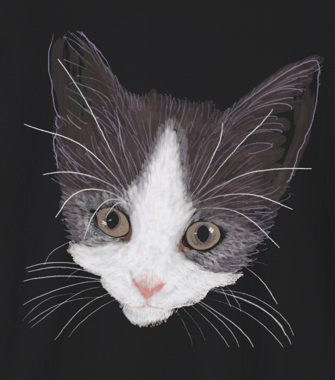 Jamie's Hand-Drawn Collection "Royal the Cat" Unisex Soft-Style Tee Shirt