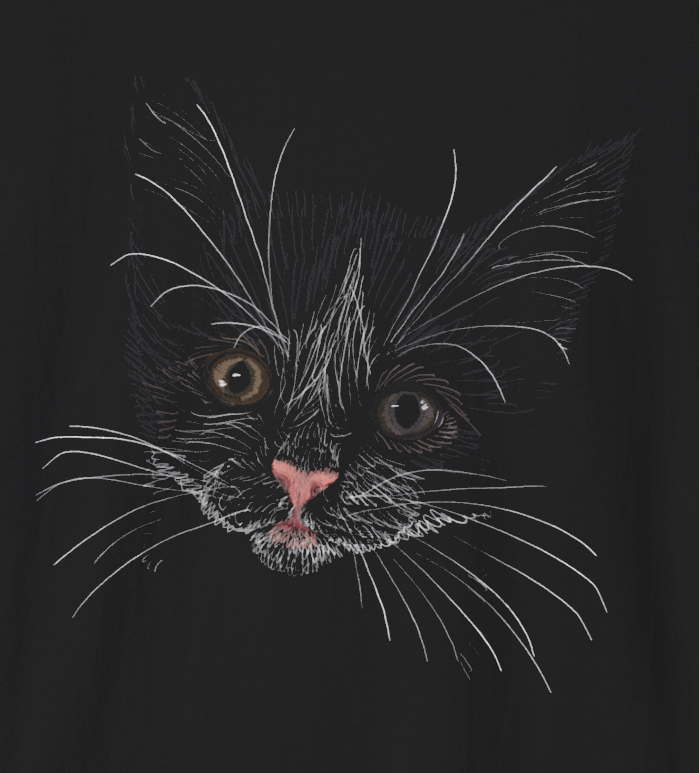 Jamie's Hand-Drawn Collection "Kitten Grey Eyes" Unisex Soft-Style Tee Shirt