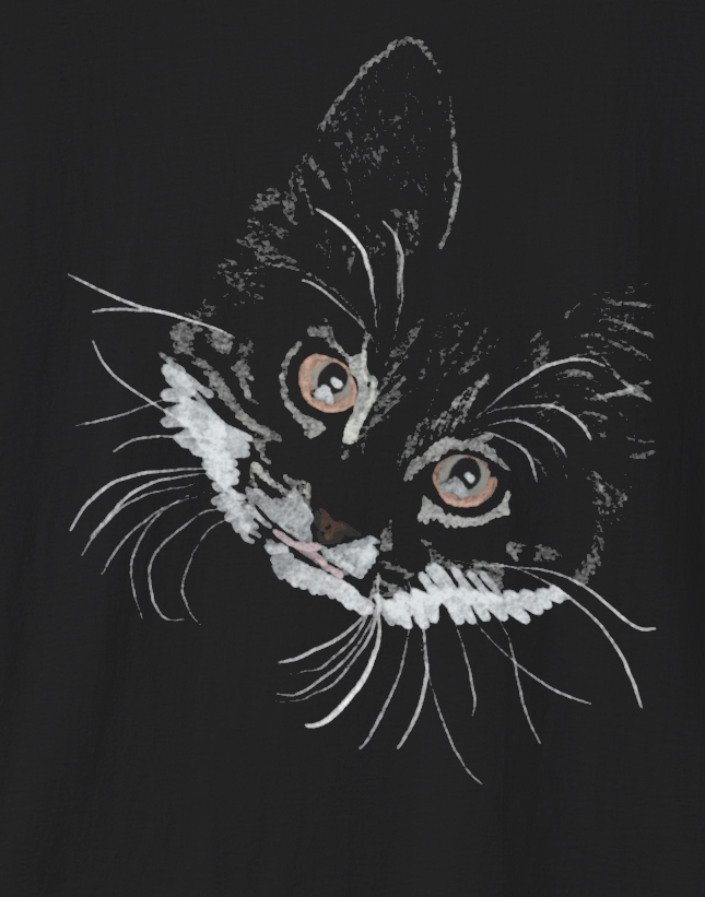 Jamie's Hand-Drawn Collection "Yellow Eyed Cat" Unisex Soft-Style Tee Shirt