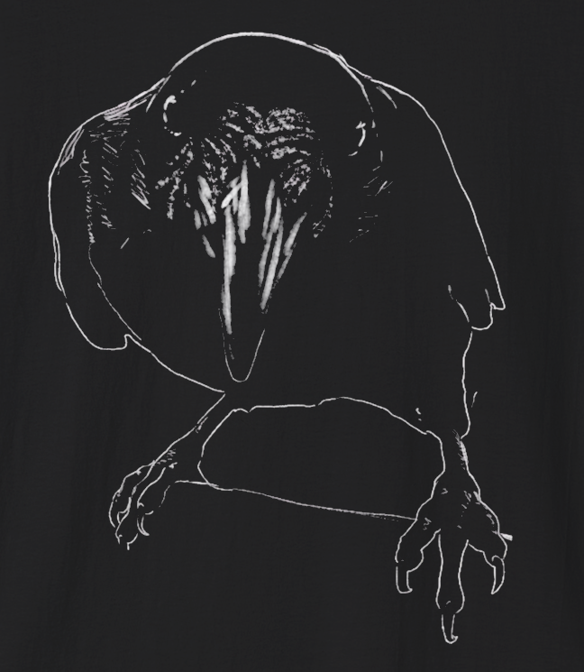 Jamie's Hand-Drawn Collection "Crow" Unisex Soft-Style Tee Shirt