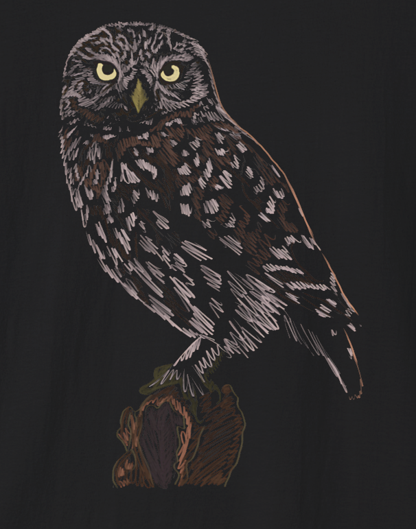 Jamie's Hand-Drawn Collection "Bird of Prey" Unisex Soft-style Tee Shirt