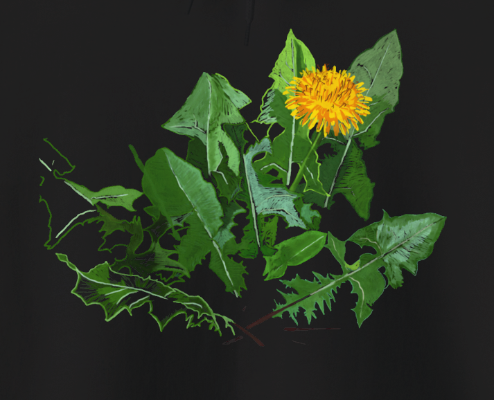 Jamie's Hand-Drawn "A Dandelion's Greens" from the Floral Collection Unisex Heavy Blend Hoodie