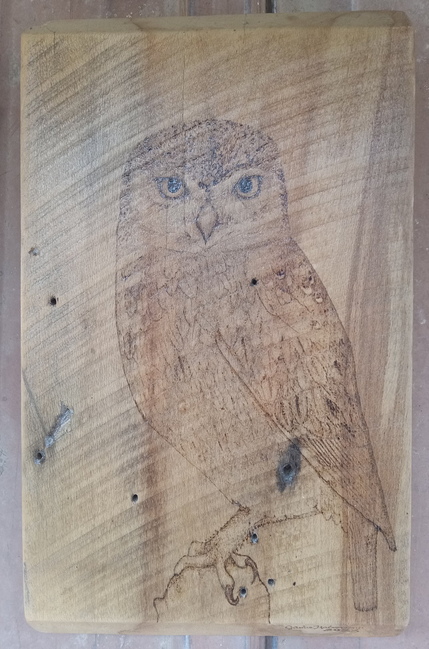 "Bird of Prey" Hand Burned Barn Board 15" x 9"