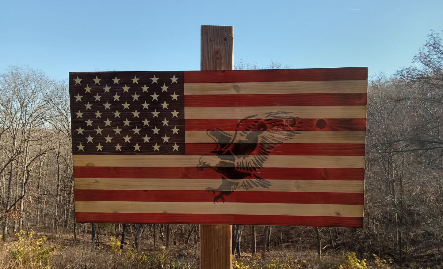 "Eagle Hunting" Burn - Wooden American Flag 31" x 16"