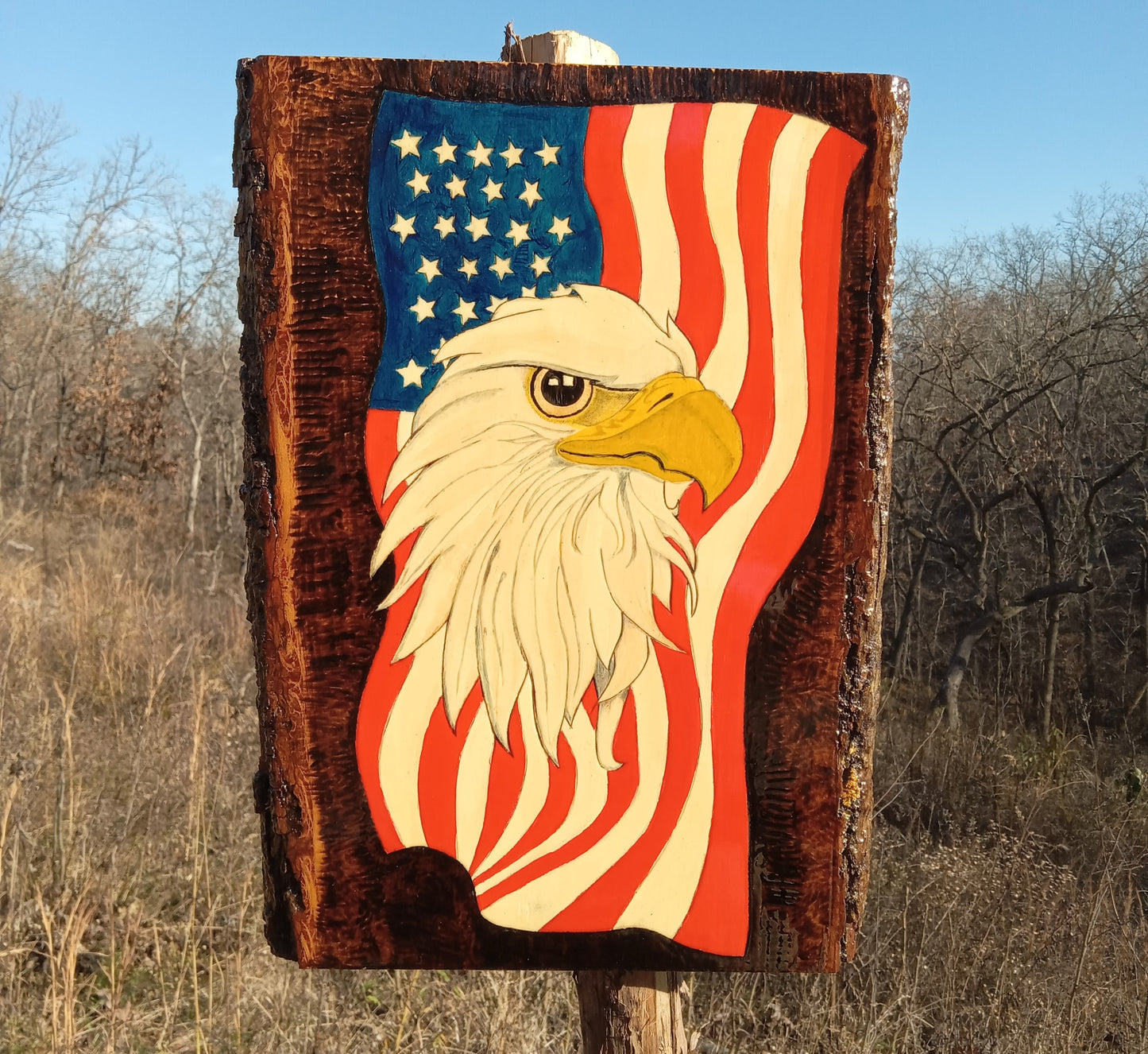 Eagle Flag Hand Painting Live Edge 12" x 16"