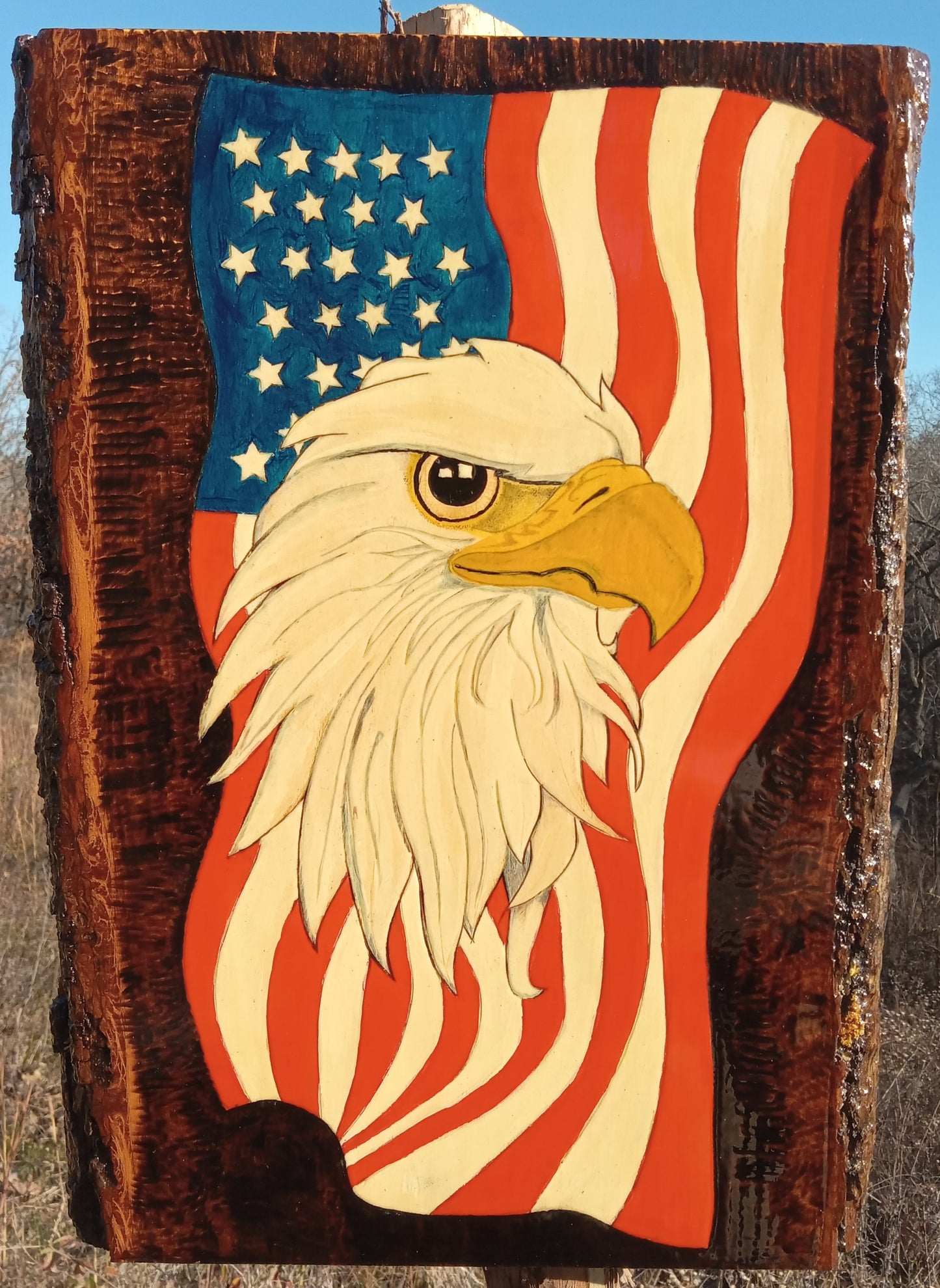 Eagle Flag Hand Painting Live Edge 12" x 16"