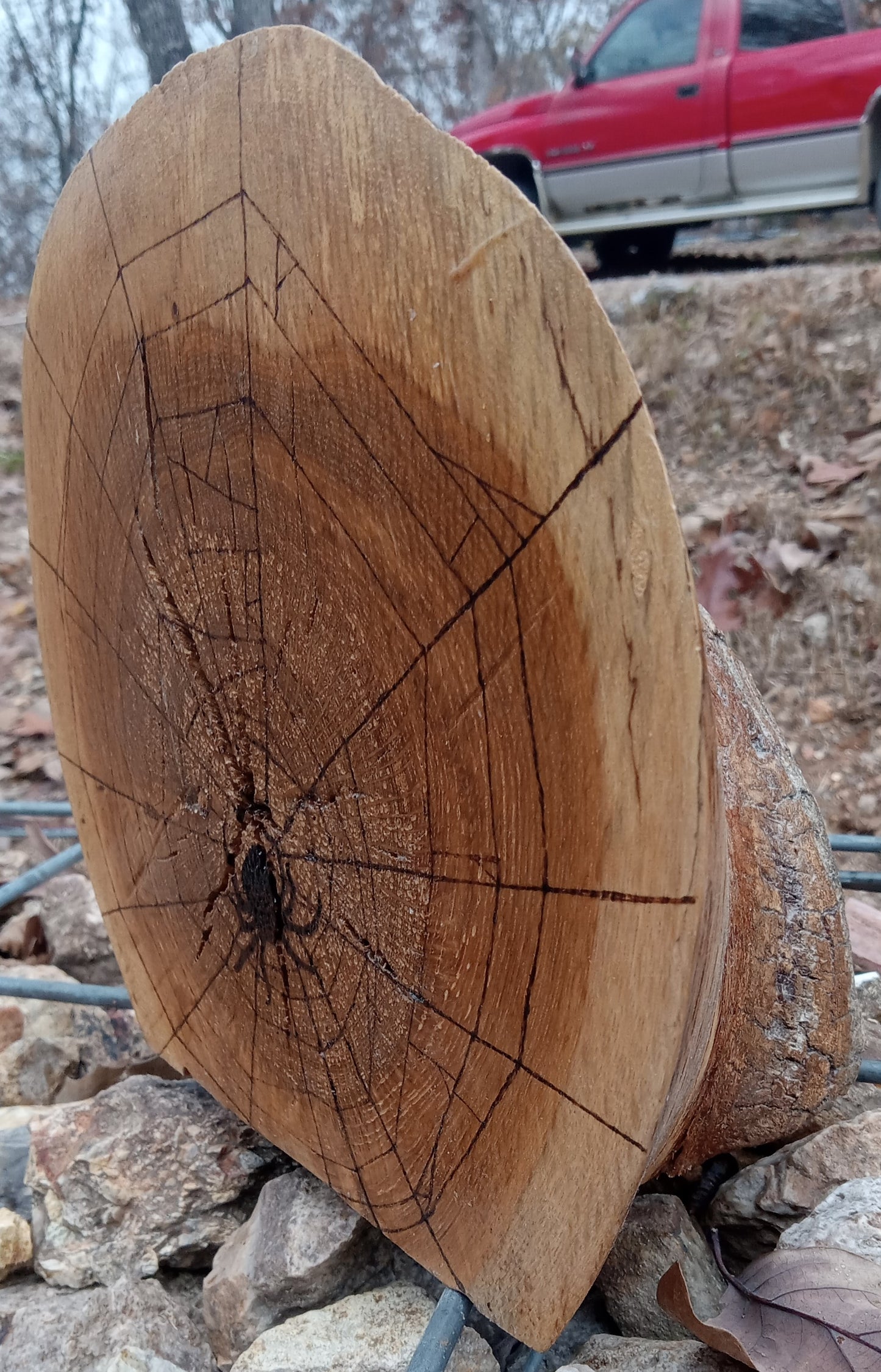 Spider Burl Burn 8"x8"