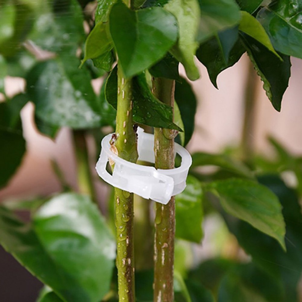 Tomato Vine Plant Support Garden Clips