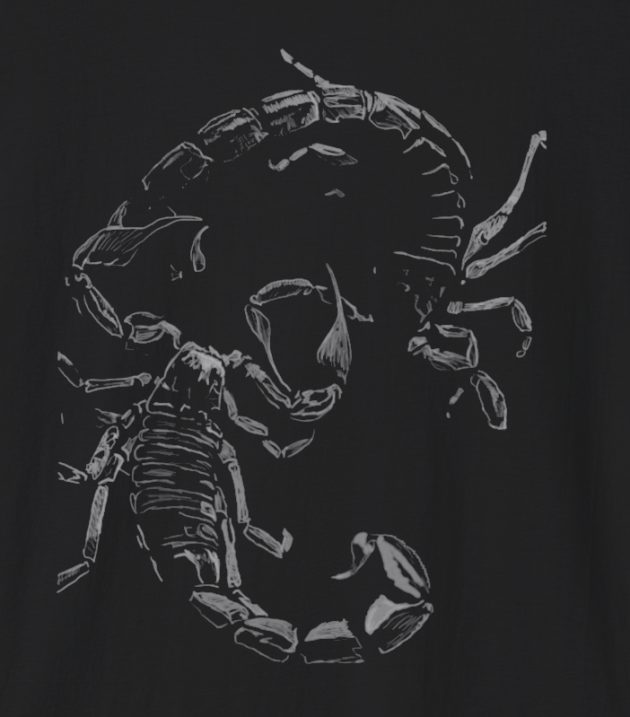 Jamie's Hand-Drawn Collection "Dancing Scorpions" Unisex Soft-Style Tee Shirt