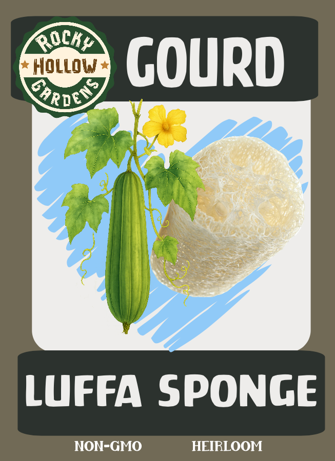 Luffa Sponge