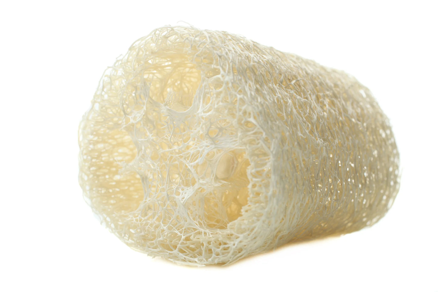 Luffa Sponge