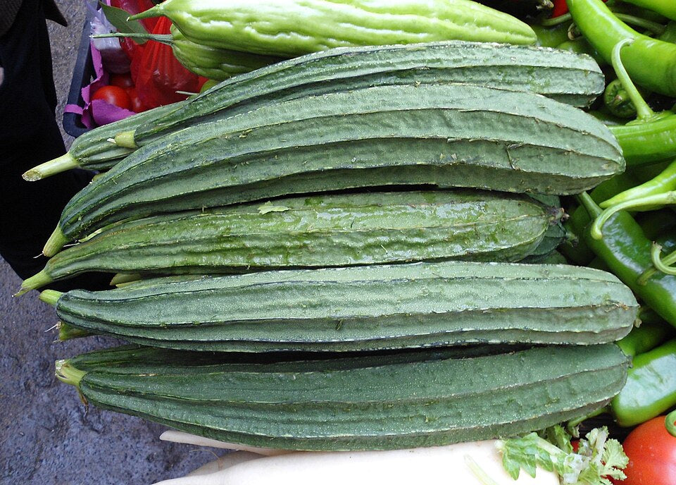 Luffa Sponge